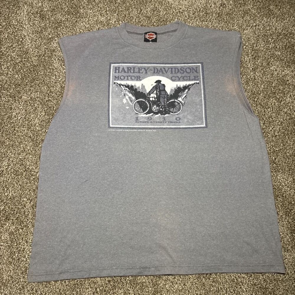Harley-davidson Men's Grey and Blue T-shirt